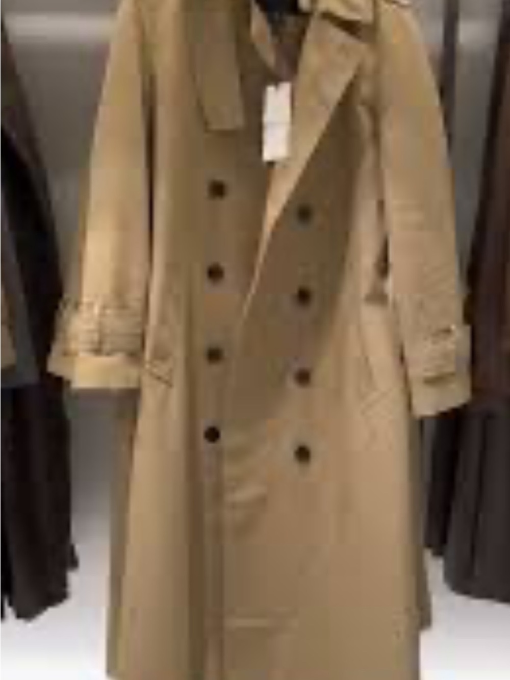 Zara Men's Double-Breasted Khaki Trench Coat